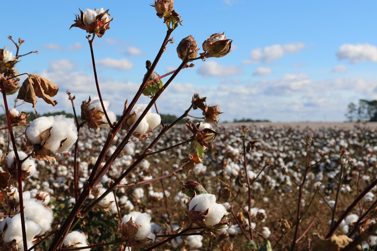 How to Start an Ethical Clothing Brand