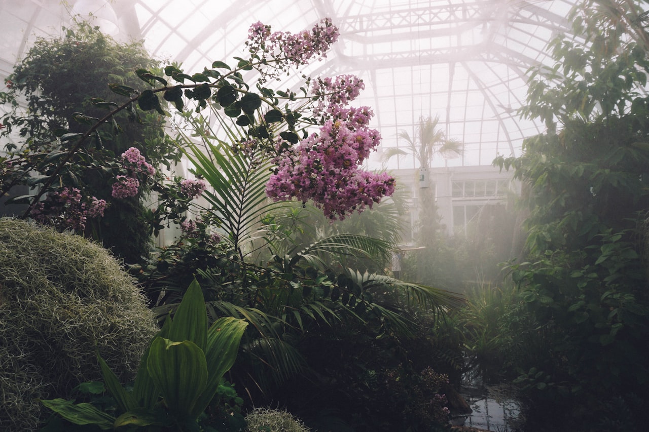 How to Start a Plant Nursery Business