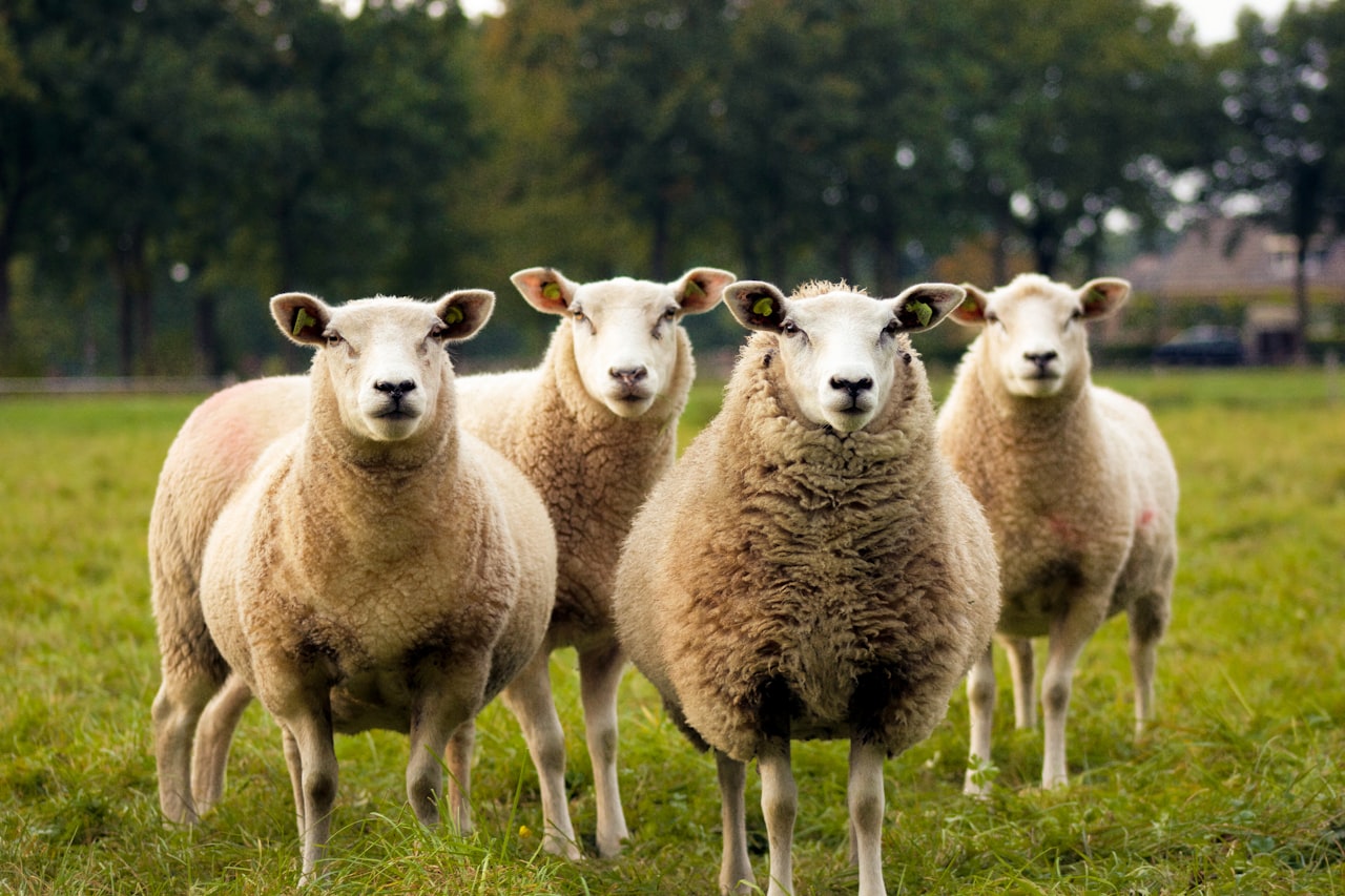 How to start farm-to-table restaurant