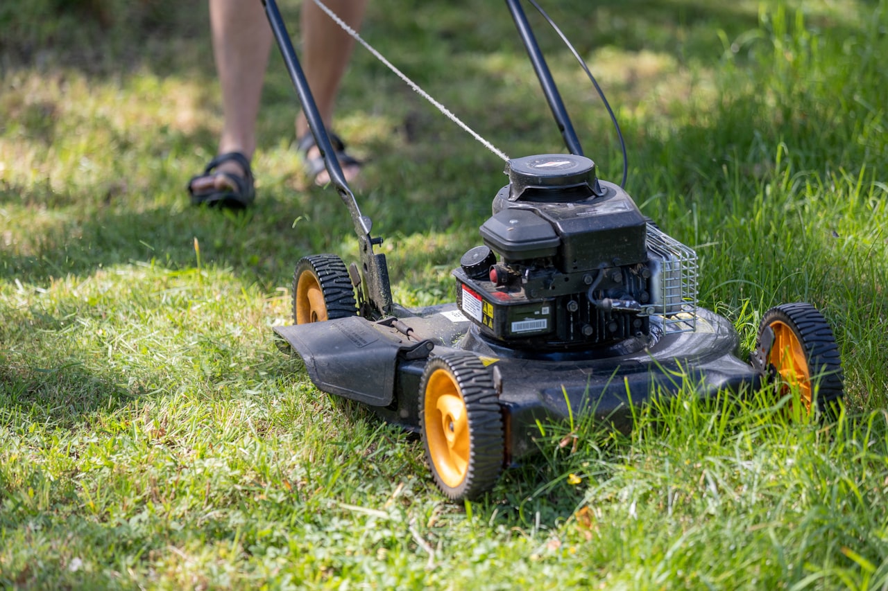 How to Start a Landscaping Business and Grow a Green Empire