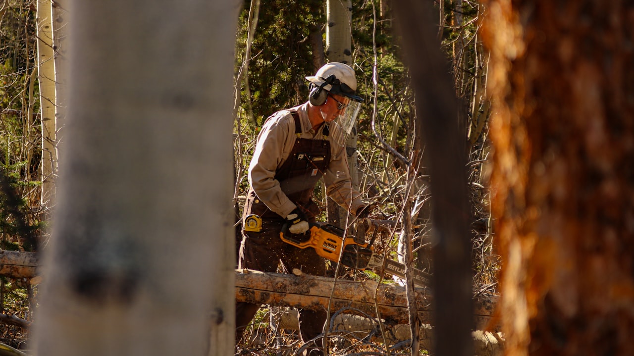 How to Start a Tree Service Business